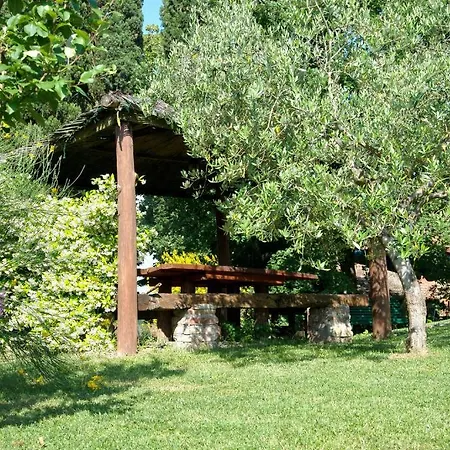 Farm stay Colle Sul Lago *